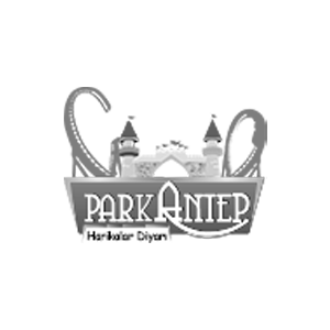 Iyzee online solutions customers